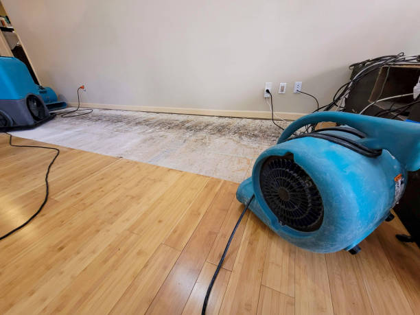 Professional Basement Flood Cleanup technician working in Prairie View, TX